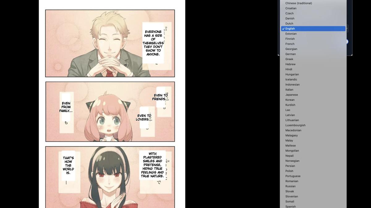 Multi-language Support Interface